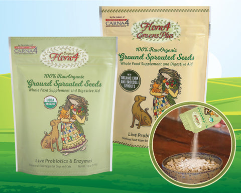 Flora4 Organic Sprouted Seeds Supplement