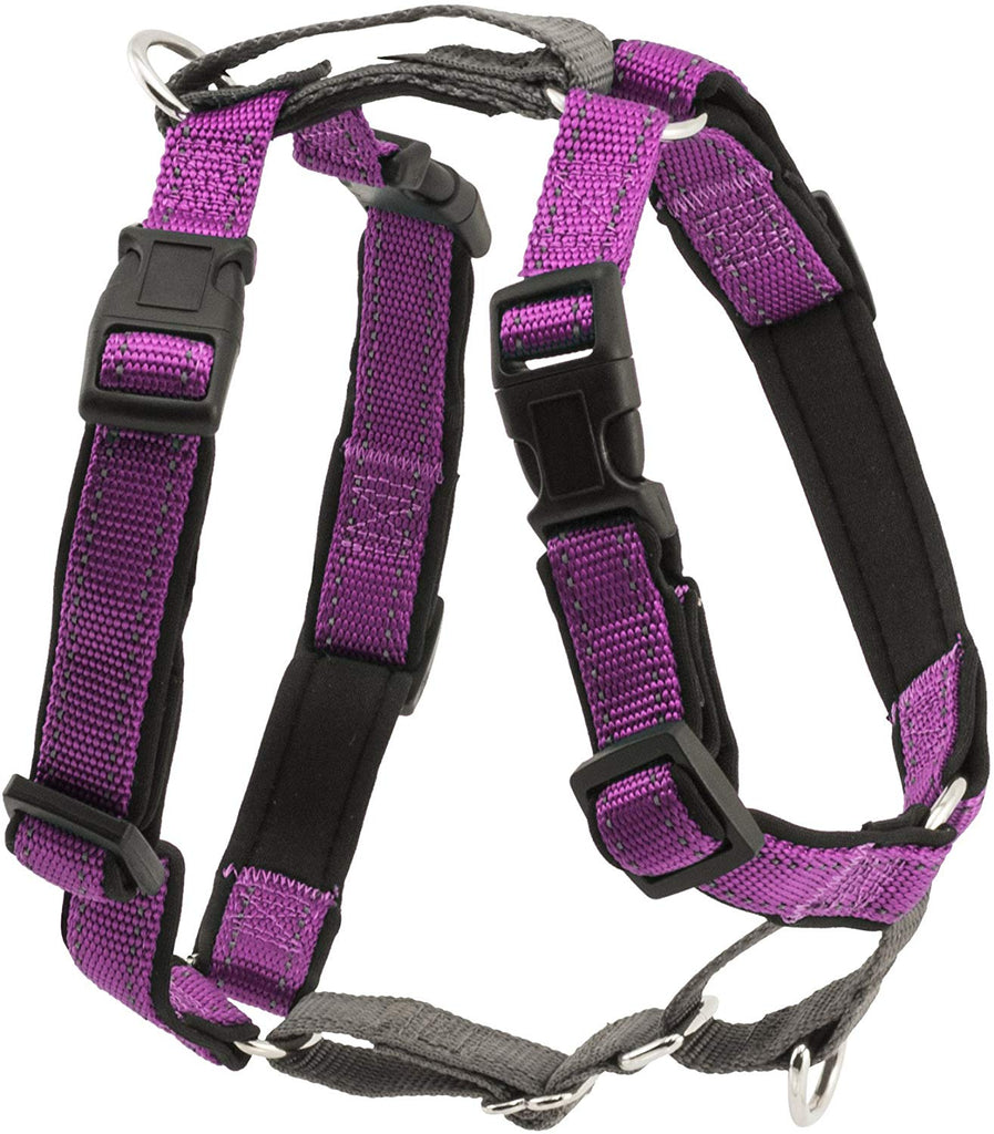 Easy walk 3 2024 in 1 harness