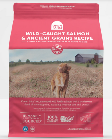 Wild-Caught Salmon & Ancient Grains Dry Dog Food