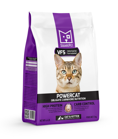 SquarePet VFS POWERCAT Turkey & Chicken Dry Cat Food, 4.4 lb