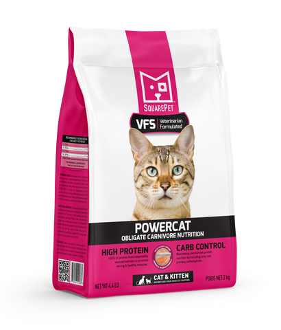 SquarePet VFS POWERCAT Herring & Salmon Dry Cat Food, 4.4 lb