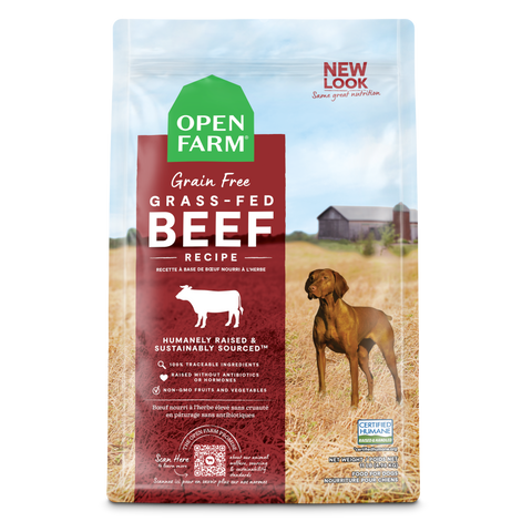 Dog Kibble Beef GF 4 LB