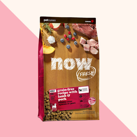 NOW FRESH Grain-Free Red Meat Adult Recipe with Lamb & Pork Dry Dog Food, 22 lb