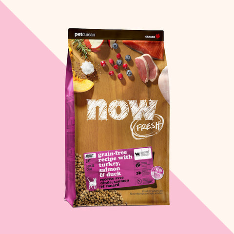 NOW FRESH Grain-Free Adult Recipe with Turkey, Salmon & Duck Dry Cat Food
