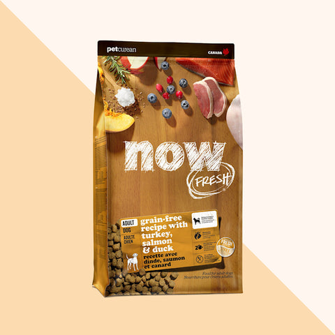 NOW FRESH Grain-Free Adult Recipe with Turkey, Salmon & Duck Dry Dog Food