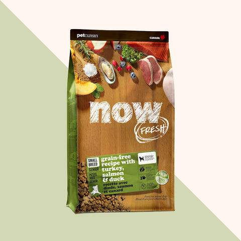 NOW FRESH Grain-Free Small Breed Senior Recipe with Turkey, Salmon & Duck Dry Dog Food