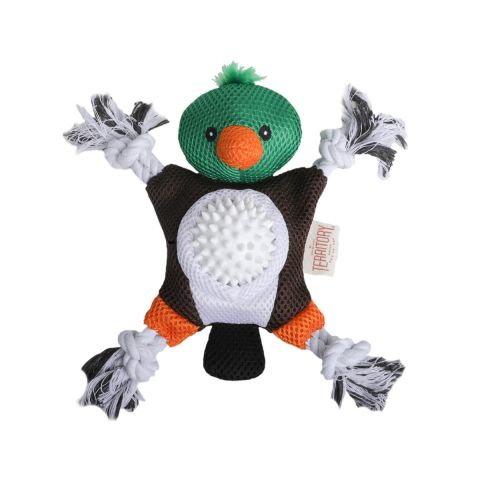 Territory Mallard Duck 2-in-1 Dog Toy, 10"