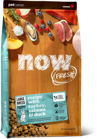 NOW FRESH™ Grain Free Large Breed Puppy Recipe