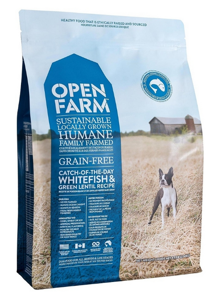 Lentil free dog food clearance